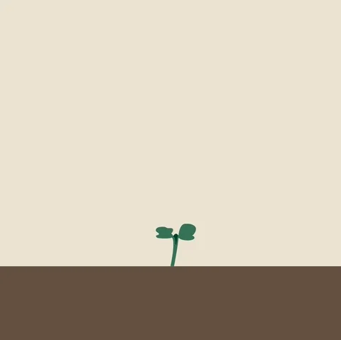 LOGO: plant growing animation